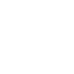 Vans logo